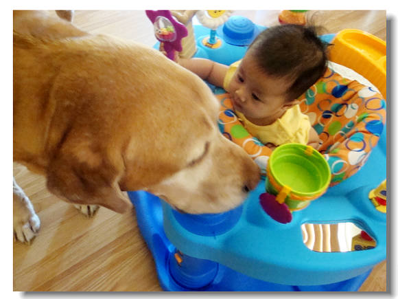 61411newtoyandfloor 07100.jpg 61411newtoyandfloor 07100.jpg