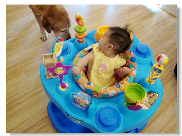 61411newtoyandfloor 07000.jpg 61411newtoyandfloor 07000.jpg