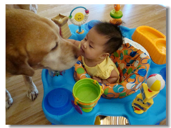 61411newtoyandfloor 07200.jpg 61411newtoyandfloor 07200.jpg