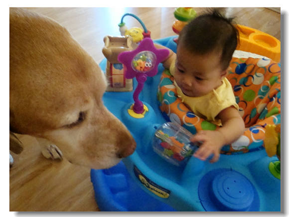 61411newtoyandfloor 07800.jpg 61411newtoyandfloor 07800.jpg