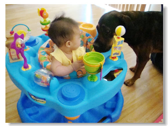 61411newtoyandfloor 03500.jpg 61411newtoyandfloor 03500.jpg