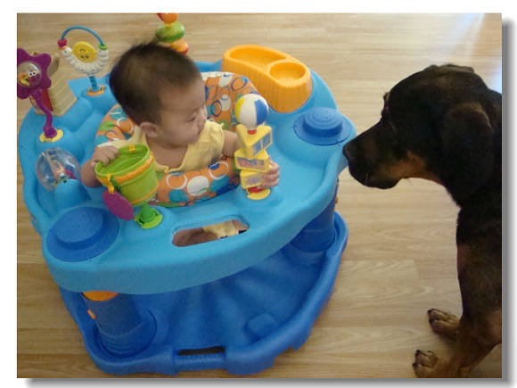 61411newtoyandfloor 03900.jpg 61411newtoyandfloor 03900.jpg