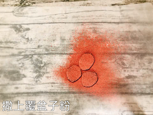 13.撒上覆盆子粉.PNG