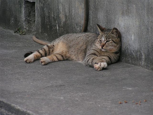 PICT0047.JPG