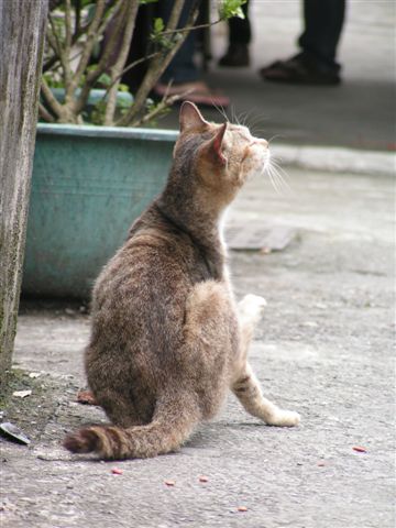 PICT0056.JPG