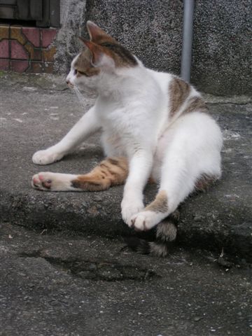PICT0088.JPG