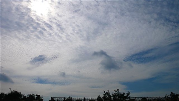 P1130015.JPG