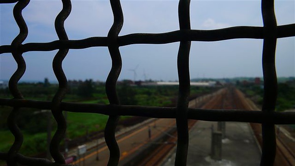P1130050.JPG