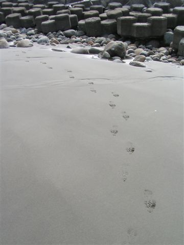 PICT0009.JPG