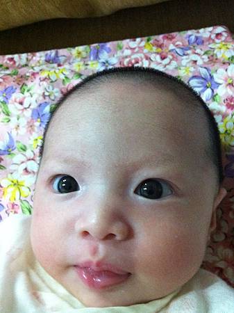 IMG_1064 IMG_1064