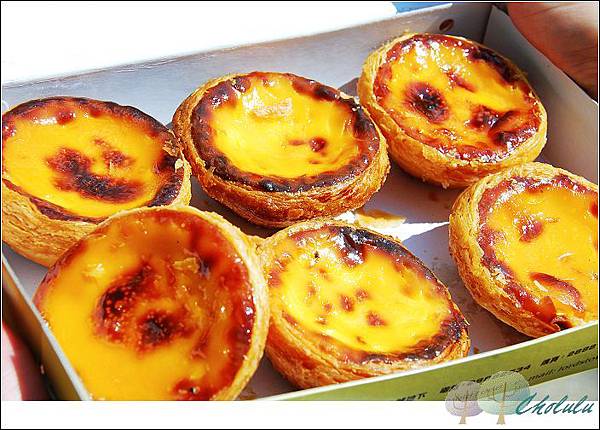 go macau★ 澳门路环.最夯必吃.安德鲁葡式蛋塔