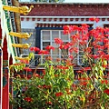 5. Norbulingka Insittute Dharamsala.jpg