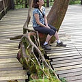 太平山莊鐵衫林步道 20130610 Well-constructed boardwalk behind the Taiping Mountain Resort.jpg