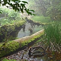 翠峰湖 環湖步道 20130611  Trail around the Green Mountain Lake.jpg