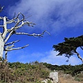 Land's End Point Golden Gate Park SF_002.jpg