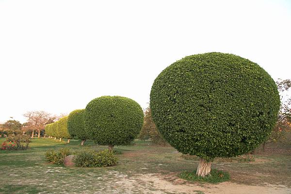 Dehli  26 大同教教堂 Baihai Temple.jpg