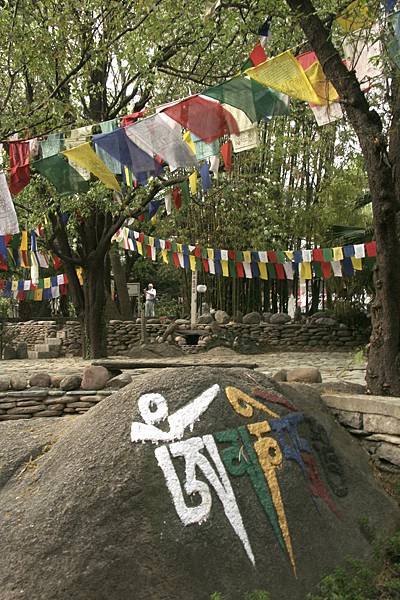 Dharamsala 7.jpg