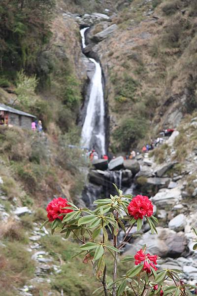 Dharamsala 15.jpg