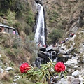 Dharamsala 15.jpg