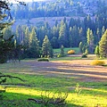 A16.Stanilaus Meadow just south of California State Route 4.jpg