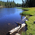 A6. Mosquito Lake.jpg