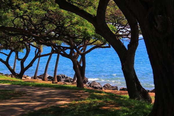 Wahikuli Wayside Park (southwestern Maui Island).jpg