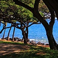 Wahikuli Wayside Park (southwestern Maui Island).jpg