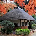 小石川公園