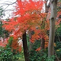 小石川公園