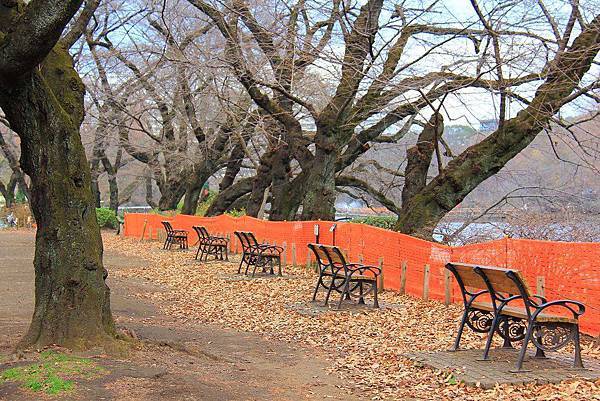 井之頭公園