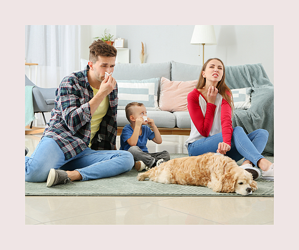 毛小孩讓小朋友容易【過敏】嗎?