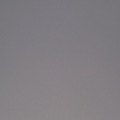 IMG_2237.JPG