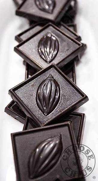 生質巧克力 Raw Chocolate 生質巧克力 Raw Chocolate