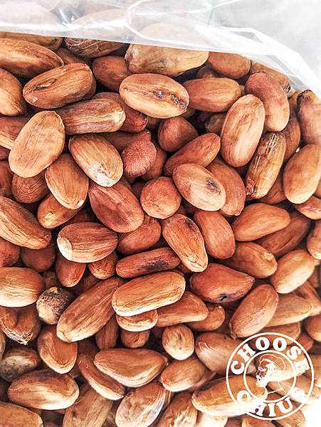 可可豆.jpg 可可豆.jpg