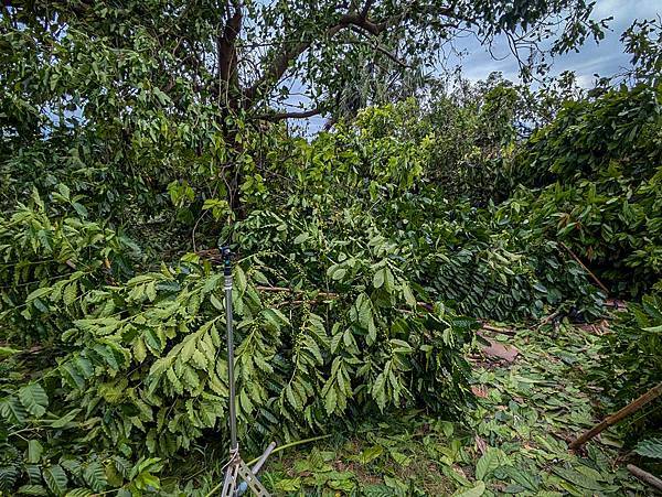 山陀兒颱風 2 山陀兒颱風 2