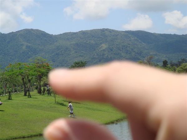 晏搖hold住他了