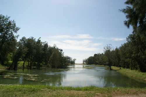 33台東琶湖公園.JPG