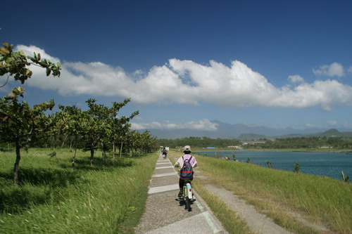 39台東琶湖公園.JPG