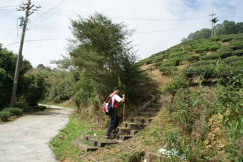 21梨子腳山之旅.JPG