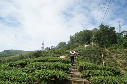 23梨子腳山之旅.JPG