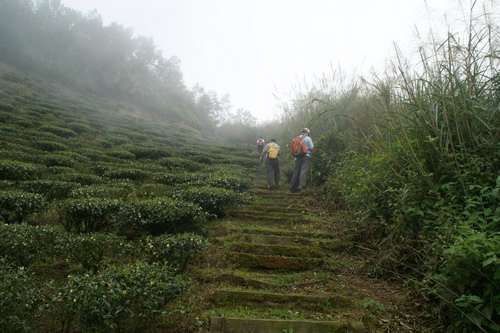 34梨子腳山之旅.JPG