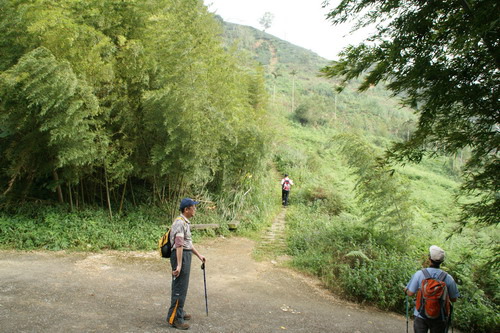 40梨子腳山之旅.JPG