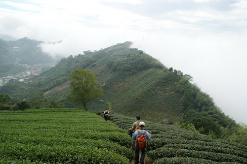 50梨子腳山之旅.JPG