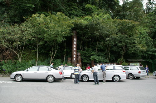 06山毛櫸之旅