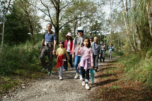 13山毛櫸之旅