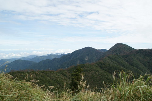 27山毛櫸之旅