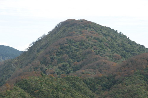 29山毛櫸之旅