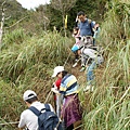 38山毛櫸之旅