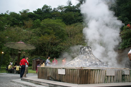 58山毛櫸之旅