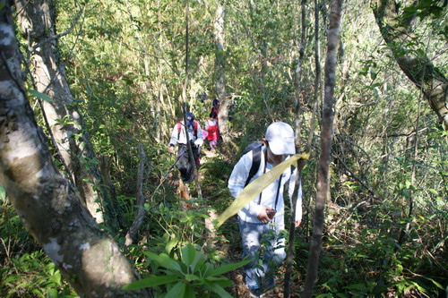 39塗潭崙山.JPG